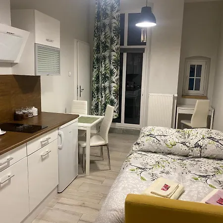 Apartment Przytulna Kawalerka Z Balkonem 10min Pieszo Od Dworca/galerii